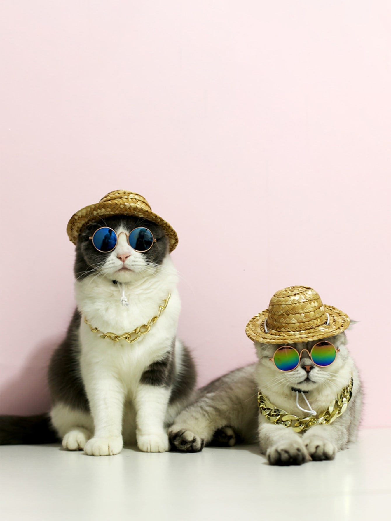 1pc Random Color Pet Sunglasses