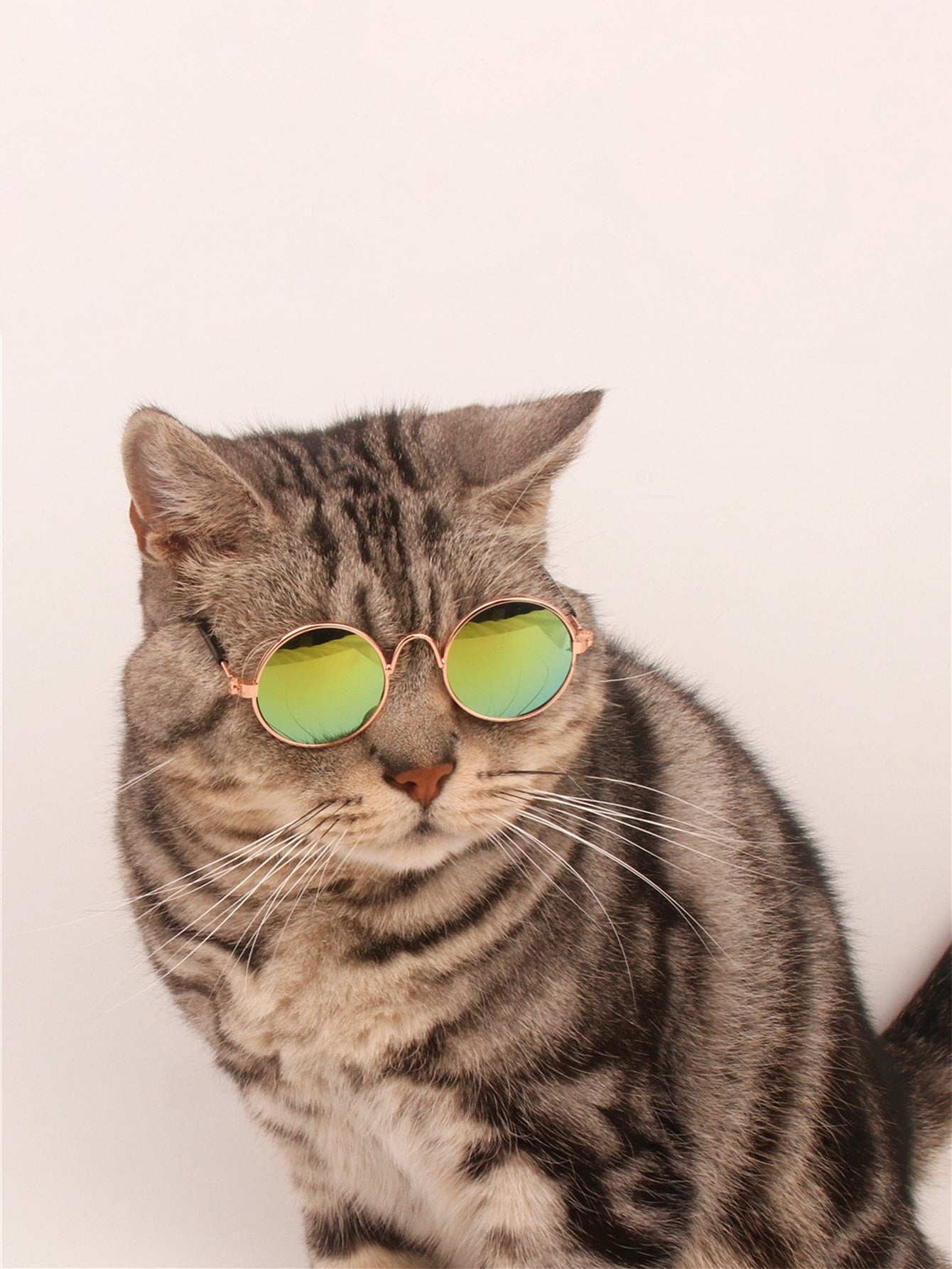 1pc Random Color Pet Sunglasses