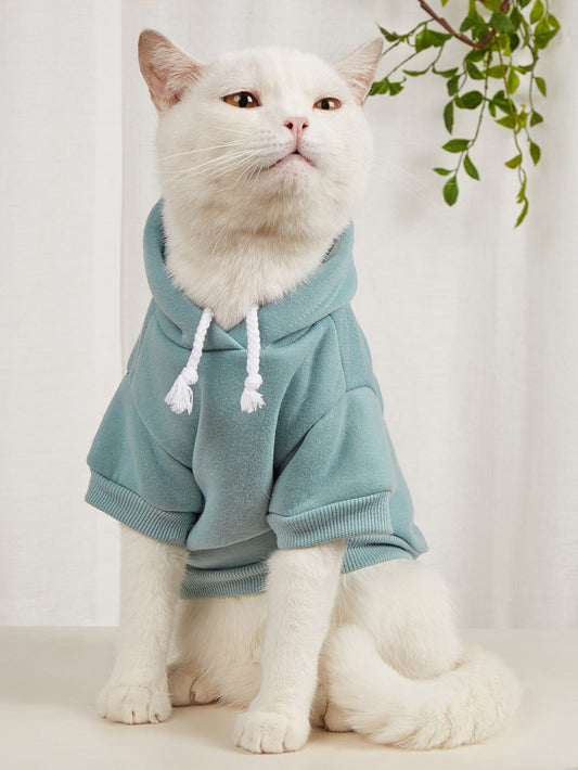 Plain Pet Hoodie