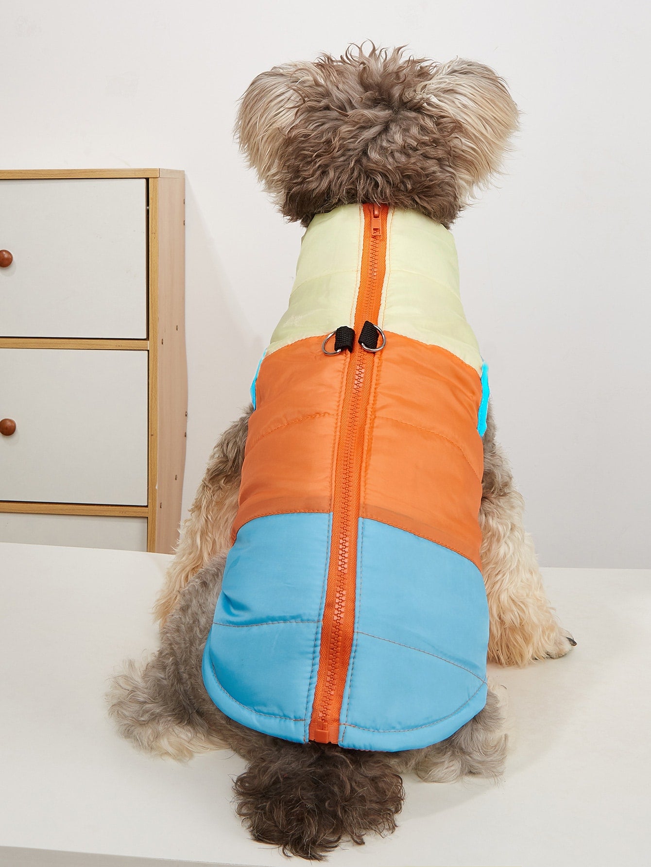 Color Block Pet Jacket