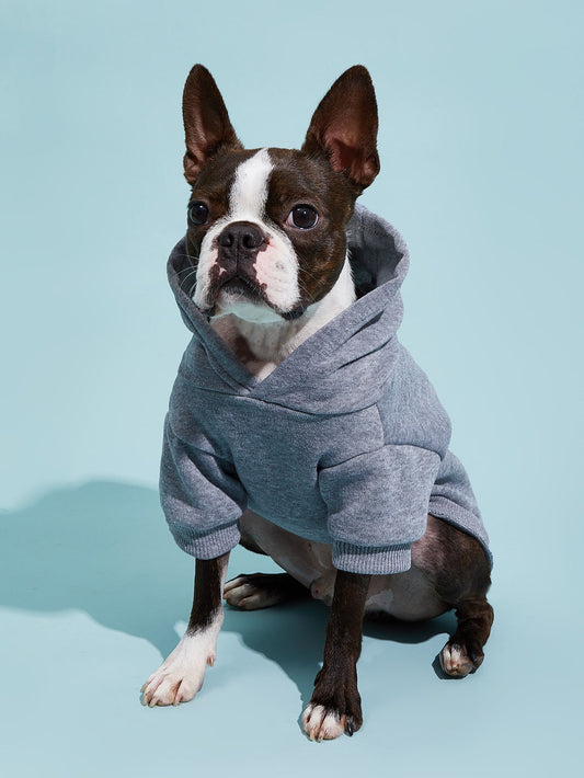 PETSIN Plain Pet Hoodie