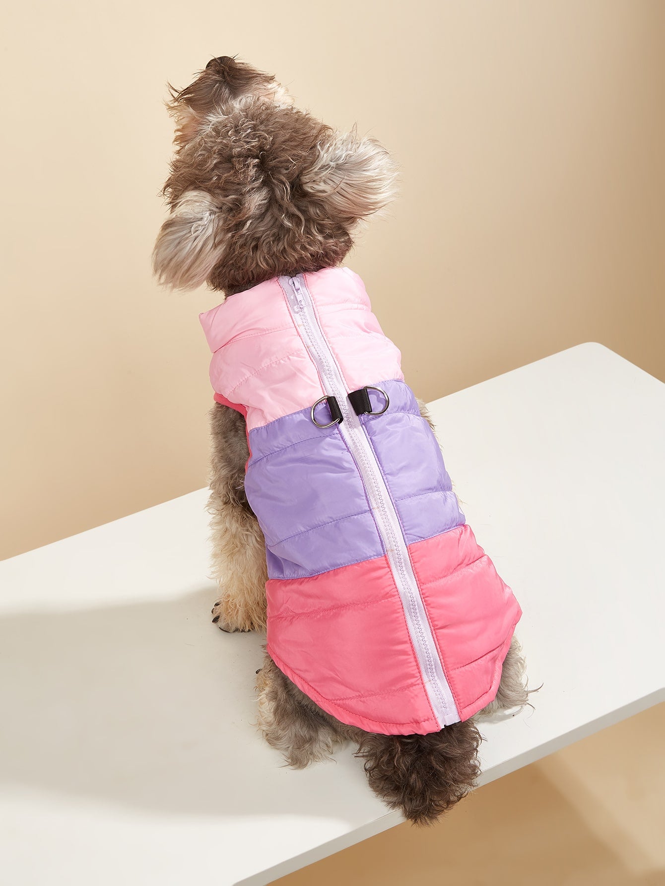 Color Block Pet Jacket