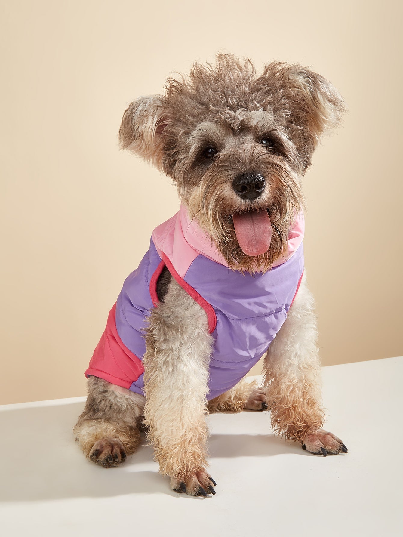 Color Block Pet Jacket