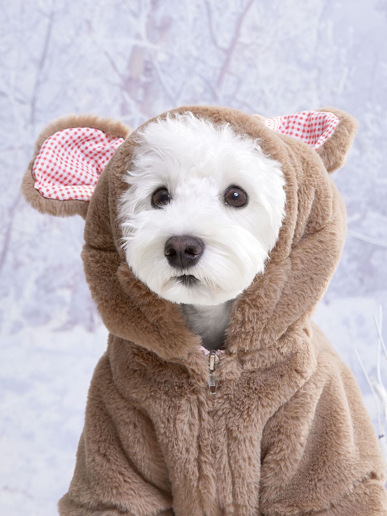 PETSIN 1pc Bear Design Fleece Pet Coat