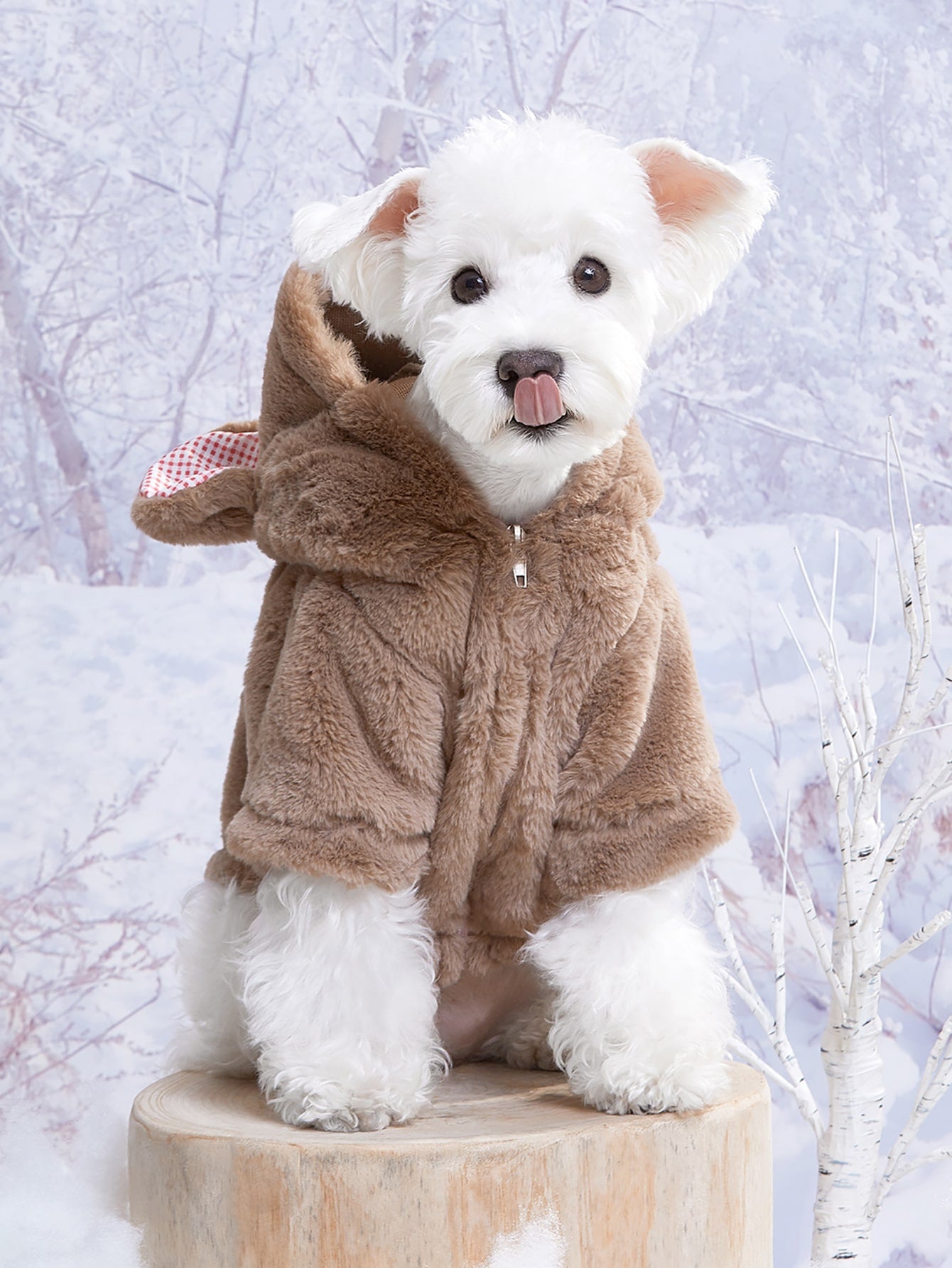 PETSIN 1pc Bear Design Fleece Pet Coat