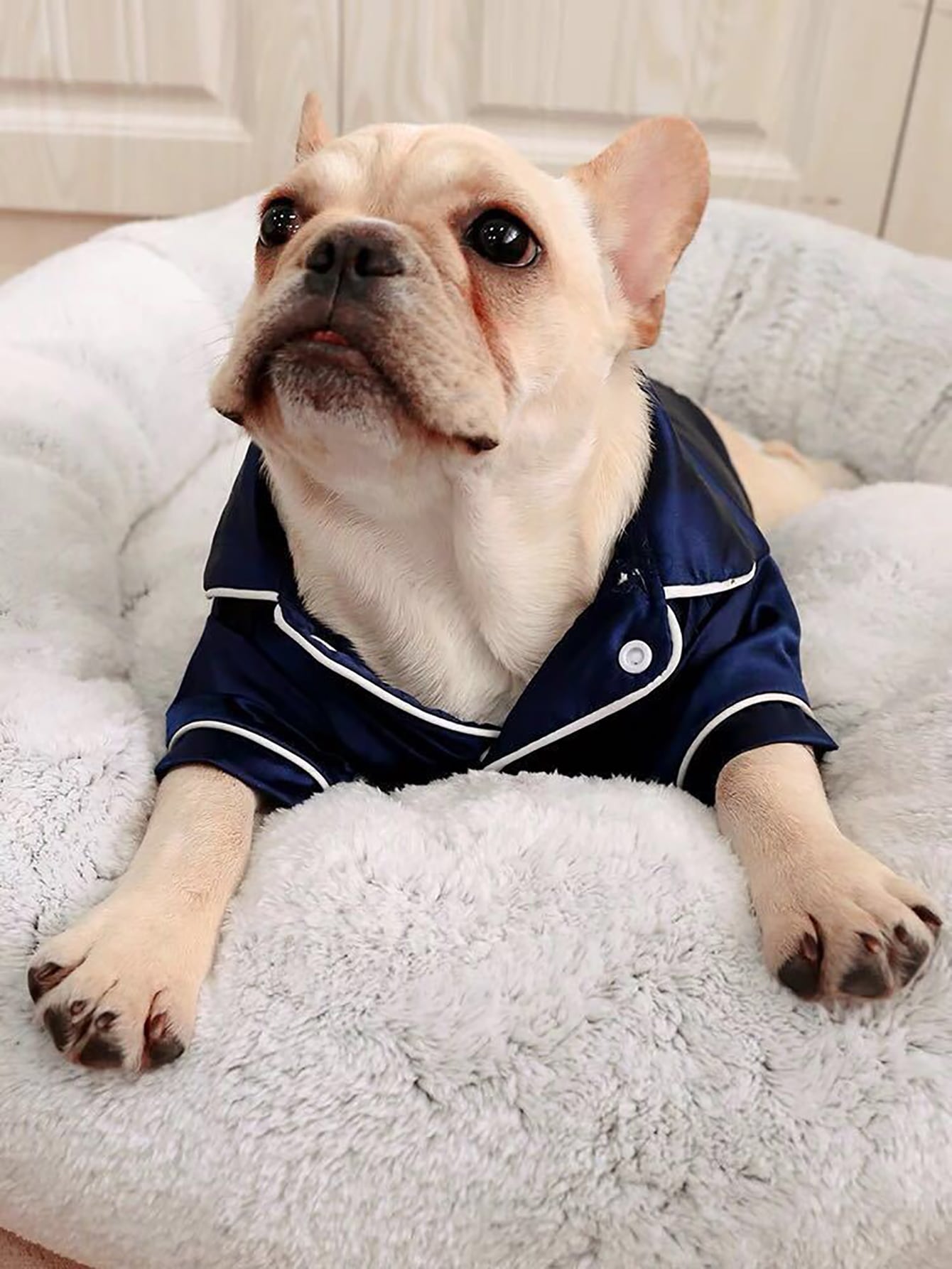 Plain Pet Pajama