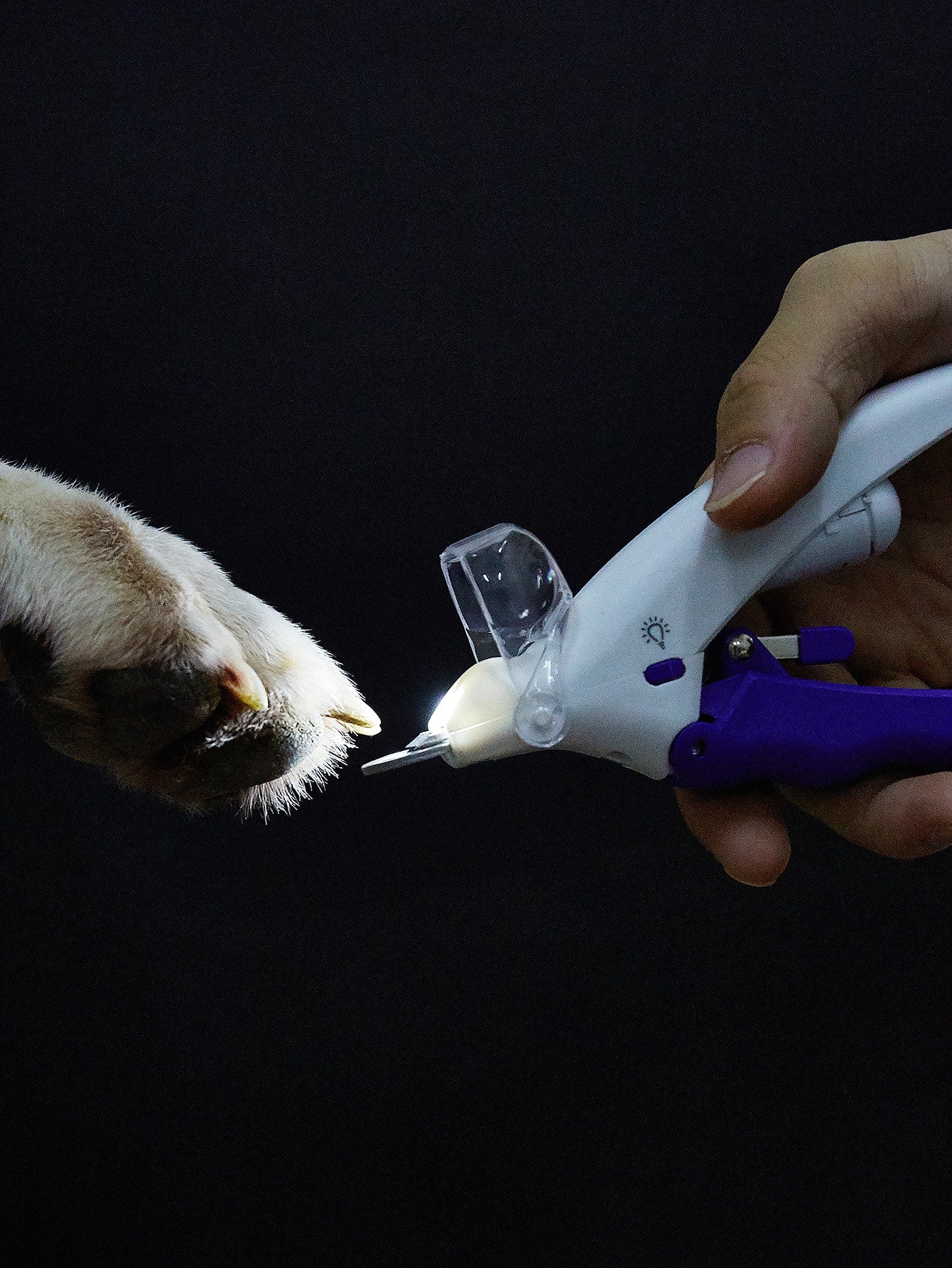 LED 5X Magnification Pet Nail Clipper