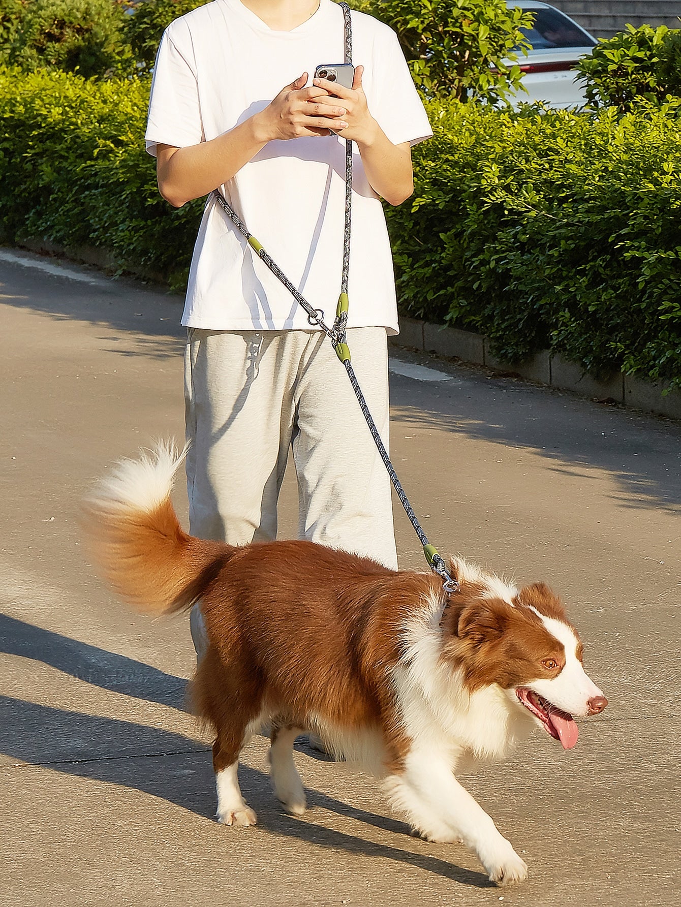 Hands Free Dog Leash Crossbody