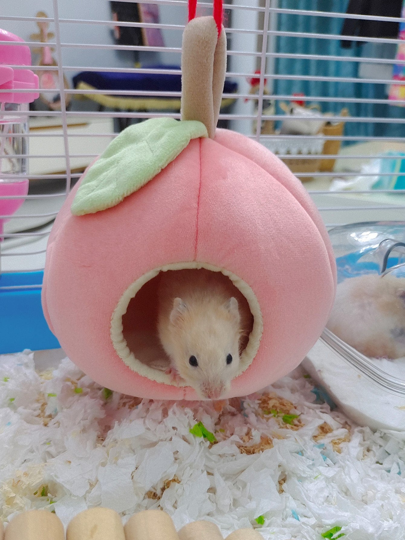 Peach Design Hamster Bed