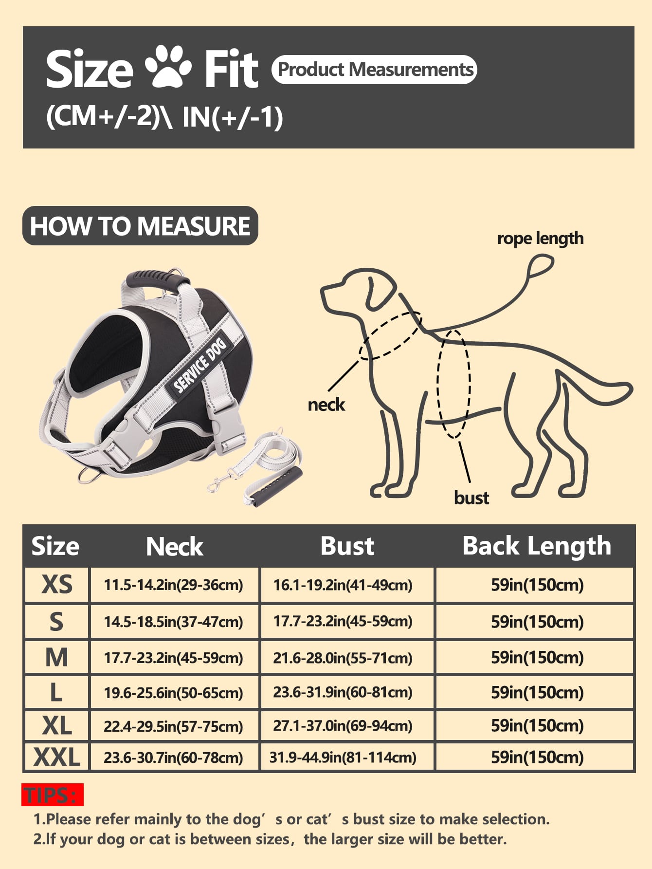 Breathable Pet Harness and Leash For Dog And Cat Outdoor