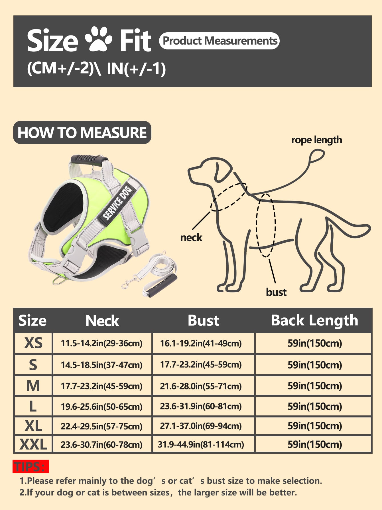 Breathable Pet Harness and Leash For Dog And Cat Outdoor